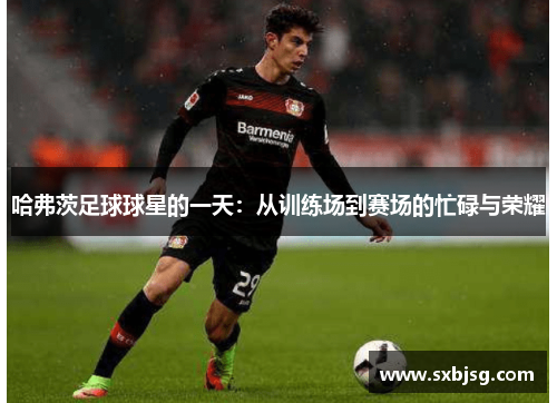 哈弗茨足球球星的一天：从训练场到赛场的忙碌与荣耀