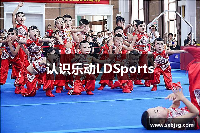 认识乐动LDSports